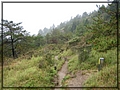 2011-11-08 09-52-15回滑雪中心登山口途中.JPG